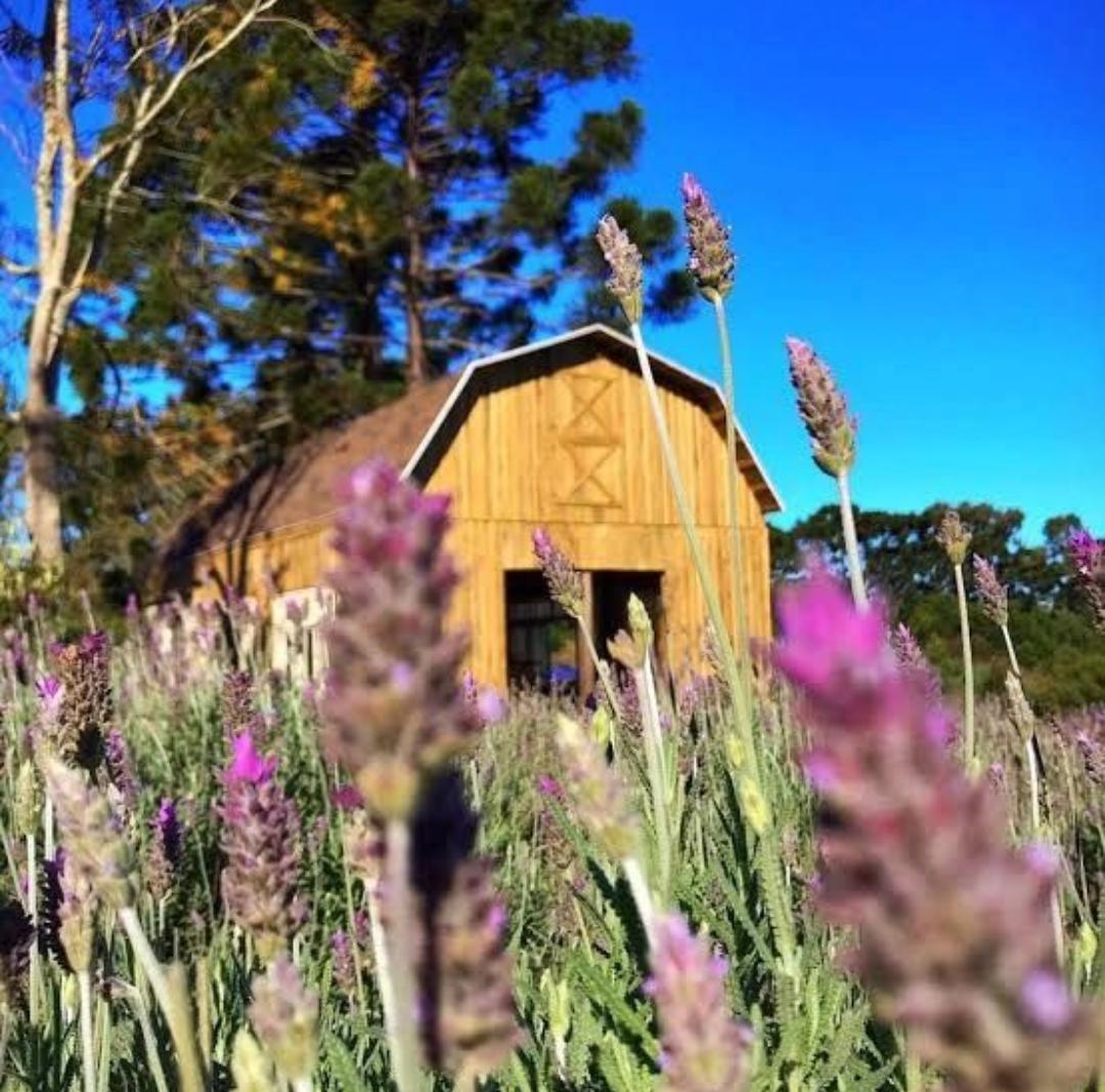 WhatsApp Image 2022-05-16 at 07.44.37 (1).jpeg